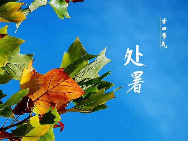 廿四节气处暑 廿四节气处暑