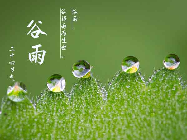 二十四节气之谷雨 二十四节气之谷雨