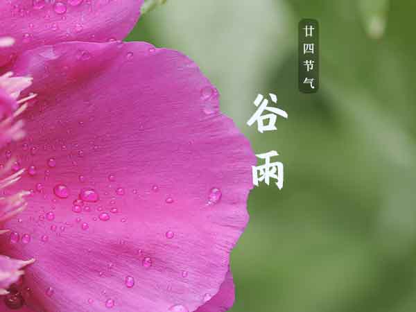 廿四节气谷雨 廿四节气谷雨