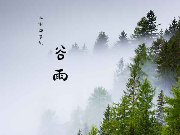 二十四节气谷雨 二十四节气谷雨