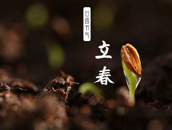 廿四节气立春 廿四节气立春