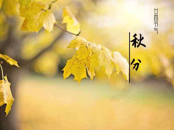 廿四节气秋分 廿四节气秋分