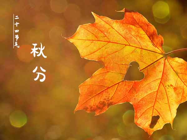 二十四节气之秋分 二十四节气之秋分