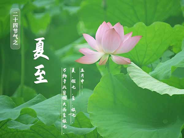 二十四节气之夏至 二十四节气之夏至