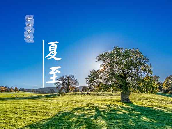 廿四节气夏至 廿四节气夏至