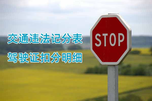 交通违法记分表、驾驶证扣分明细 交通违法记分表、驾驶证扣分明细