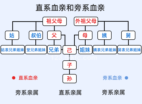 直系亲属和旁系亲属关系图 直系亲属和旁系亲属关系图