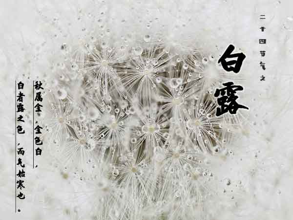 二十四节气之白露