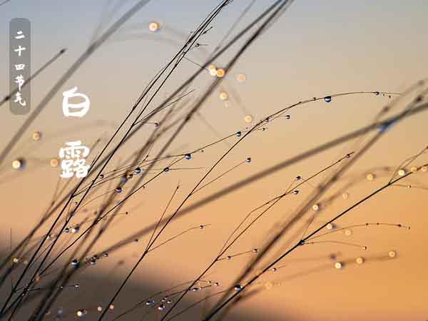 二十四节气之白露