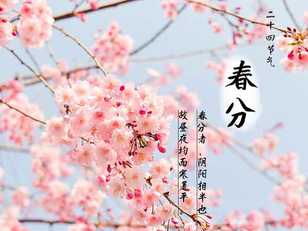 二十四节气之春分