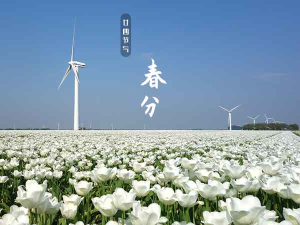 廿四节气之春分