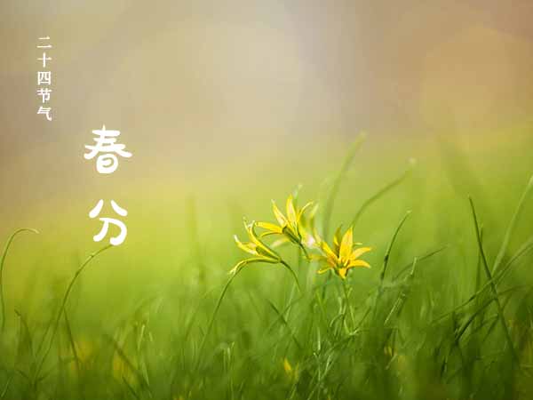 二十四节气之春分