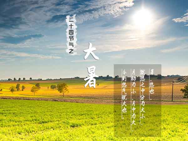 二十四节气之大暑