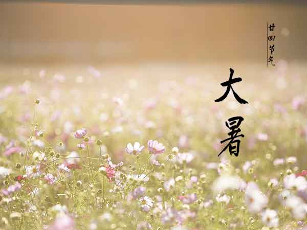 廿四节气之大暑