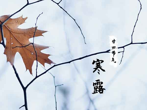 廿四节气之寒露