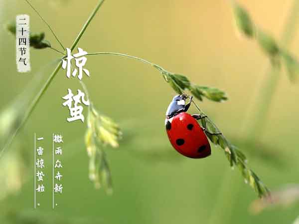 二十四节气之惊蛰