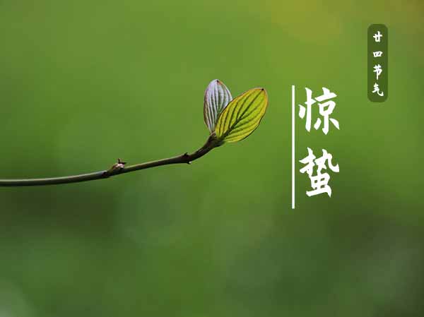 二十四节气之惊蛰