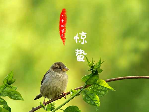 二十四节气之惊蛰