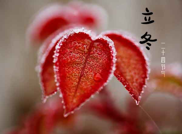 二十四节气立冬