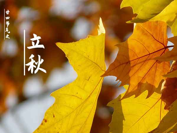 廿四节气立秋