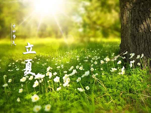 廿四节气立夏