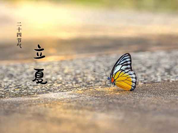 二十四节气之立夏