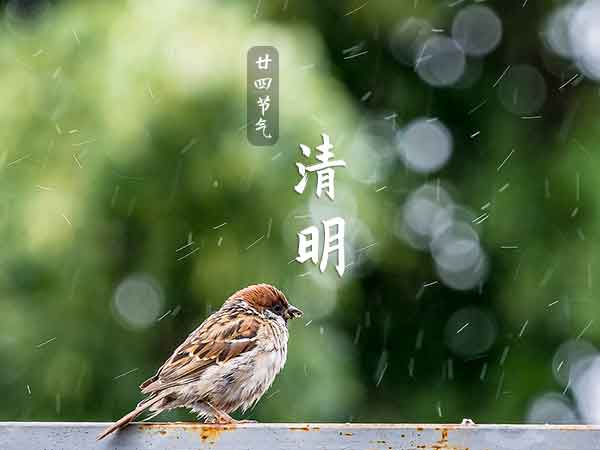 二十四节气之清明