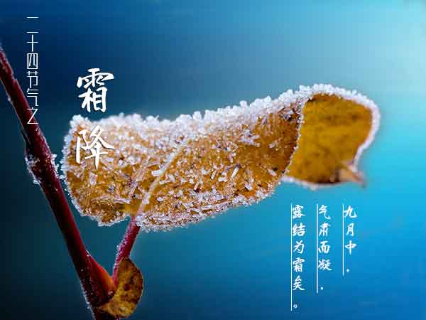 二十四节气之霜降