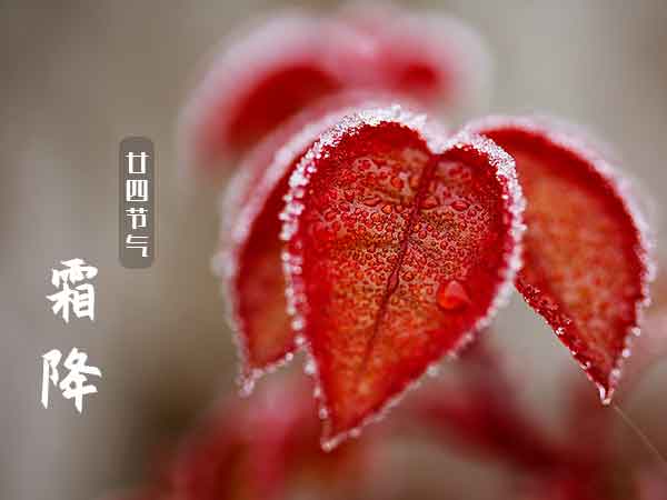 廿四节气霜降