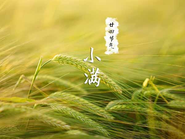 廿四节气小满