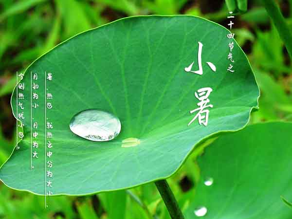 二十四节气之小暑