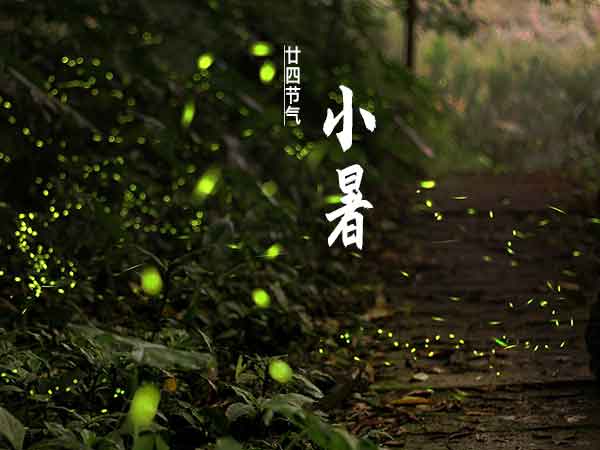 廿四节气之小暑