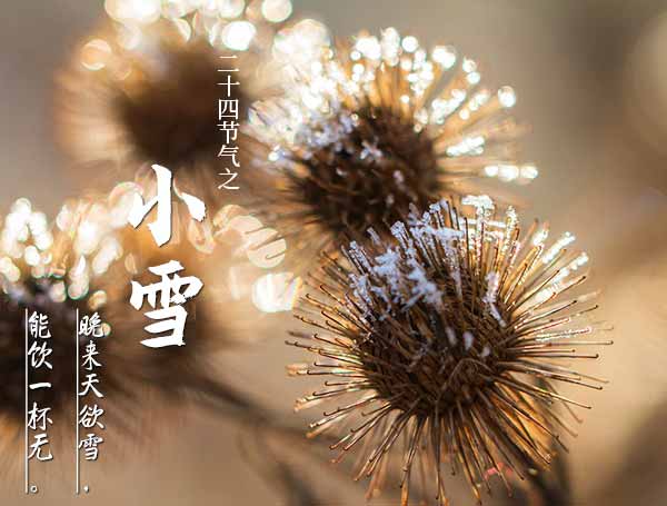 二十四节气之小雪节气