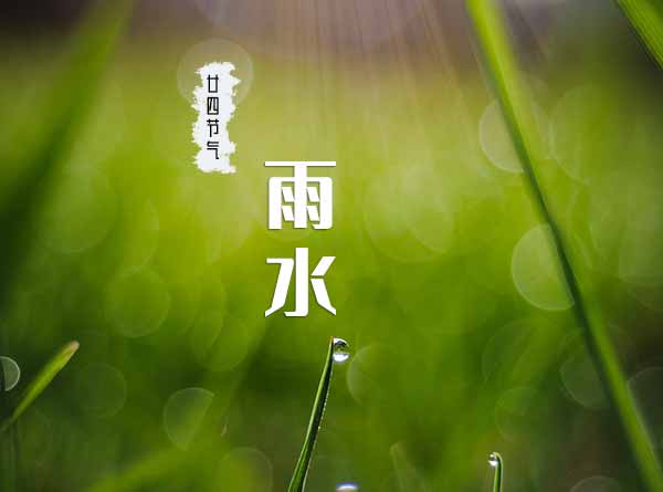 廿四节气之雨水
