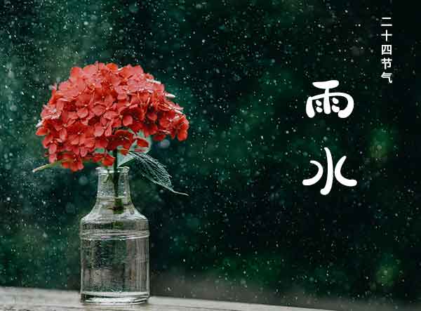 二十四节气之雨水